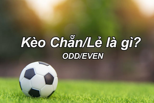 Liệu K8 có được hợp pháp hóa tại Việt Nam vào năm 2026? Hướng dẫn đầy đủ và cập nhật nhất - K8