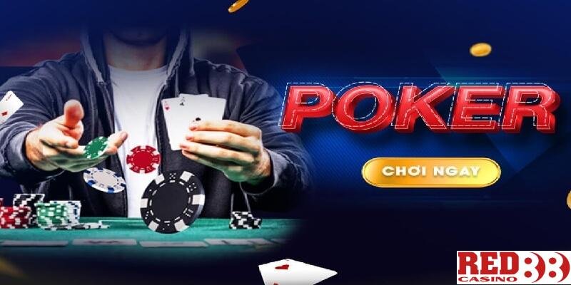 Tổng quan về các nhà cái và người chơi cấp Raybet tại Singapore - Raybet