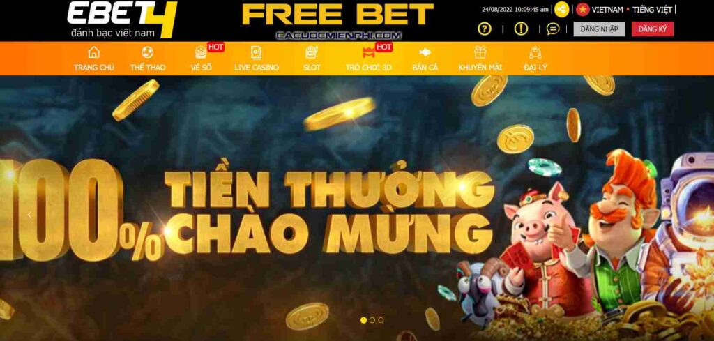 Tận hưởng trải nghiệm cá cược và chơi game đẳng cấp Vn6 trên một nền tảng tuyệt vời - Vn6
