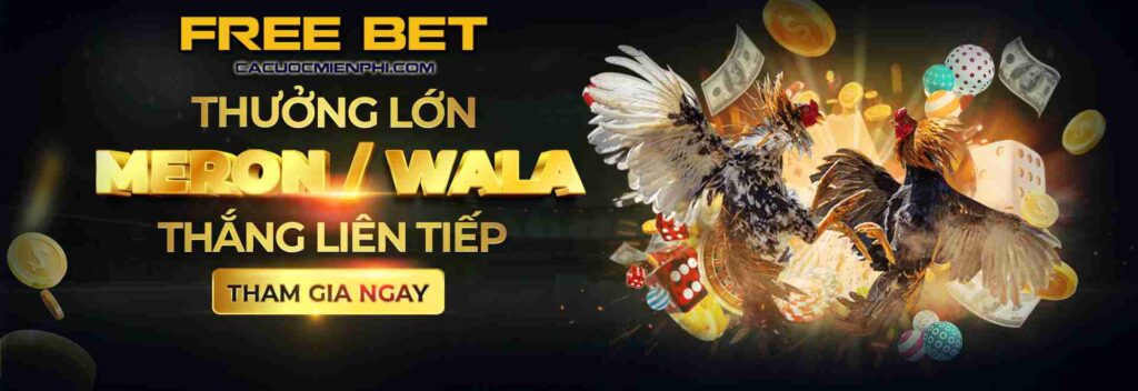 Đánh giá trang web trò chơi xuất sắc cấp độ Mibet - Mibet