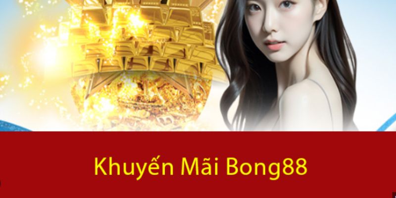 Thông tin nền tảng Vnd188 - Vnd188