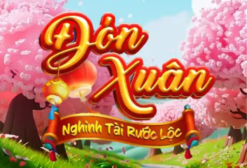 Thông tin cơ bản bạn cần biết về Df999 - Df999