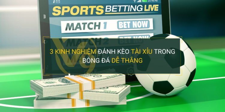 Vậy, Ek88 có thực sự đáng tin cậy không? - Ek88