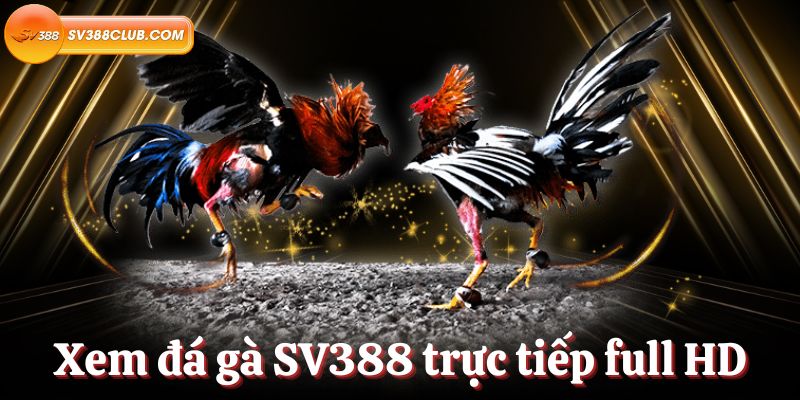 Thử vận may của bạn – Khuyến mãi Tết Nguyên Đán We88 - We88