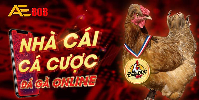 V99 thuộc loại trang web chơi game nào? - V99
