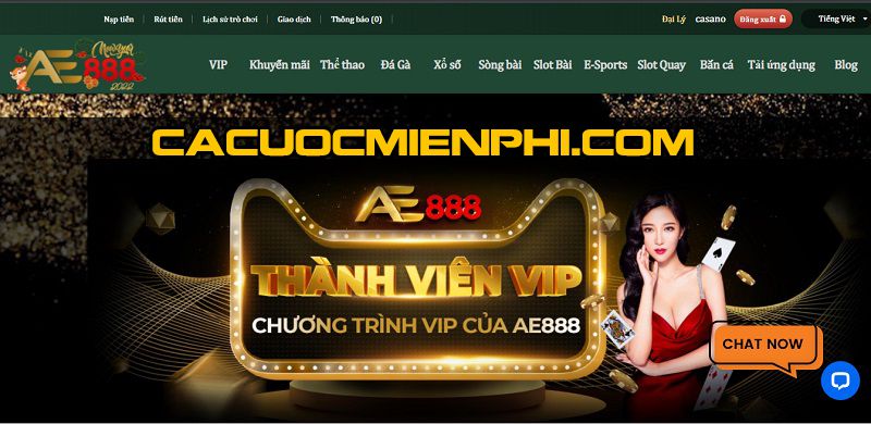 Các tựa game cấp độ Vn6 cung cấp nhiều thể loại game khác nhau và nội dung phong phú - Vn6