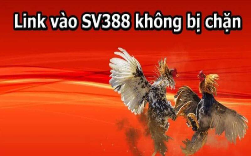 Giải thích các phương pháp rút tiền Letou - Letou