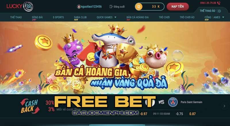 Những điều cần lưu ý khi tham gia chương trình thành viên VIP của Aw8 - Aw8