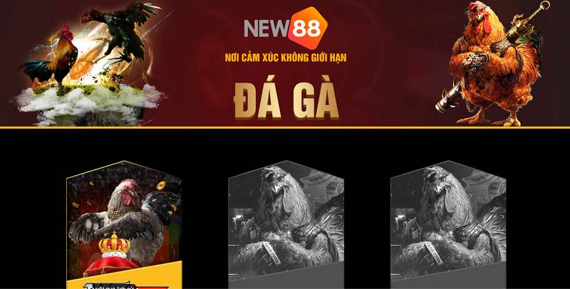 8Xbet: Một thế giới đầy ắp những trò chơi máy đánh bạc thú vị và hấp dẫn - 8Xbet