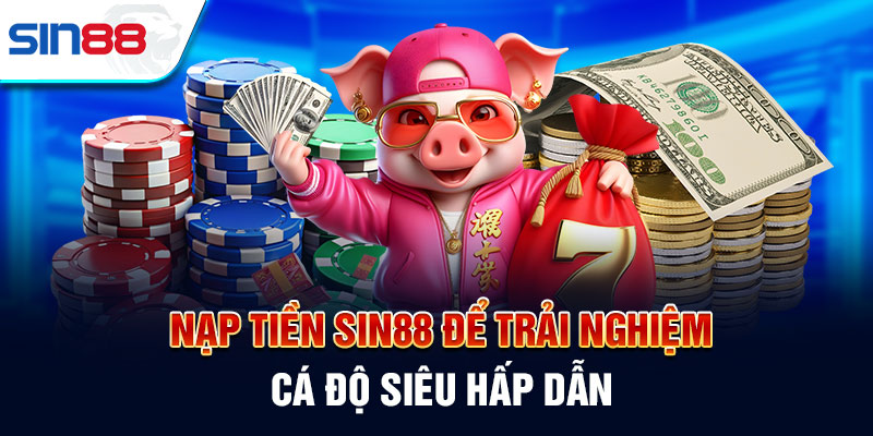 Nhận thông tin số nhận dạng xe 6Sports bất cứ lúc nào - 6Sports