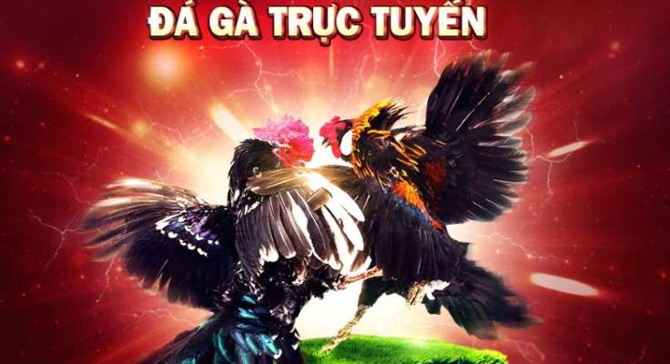 Dưới đây là một số trò chơi do Ta88 cung cấp dành cho những người chơi chưa quen thuộc với chúng - Ta88