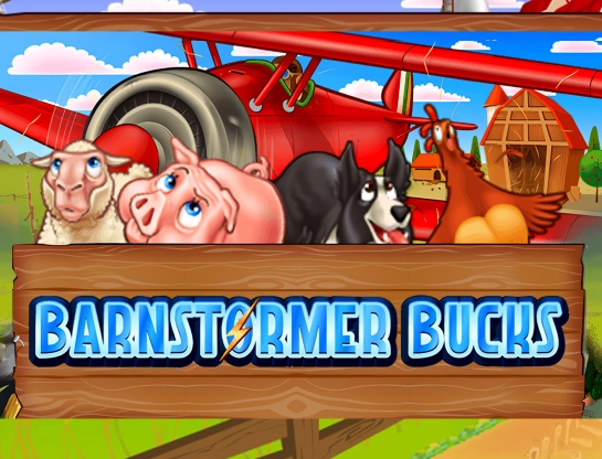 Barnstormer Bucks